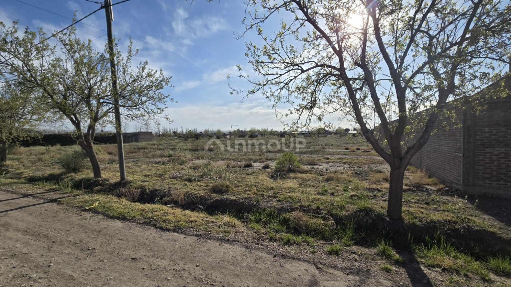 Lote en Venta en San Rafael, Mendoza