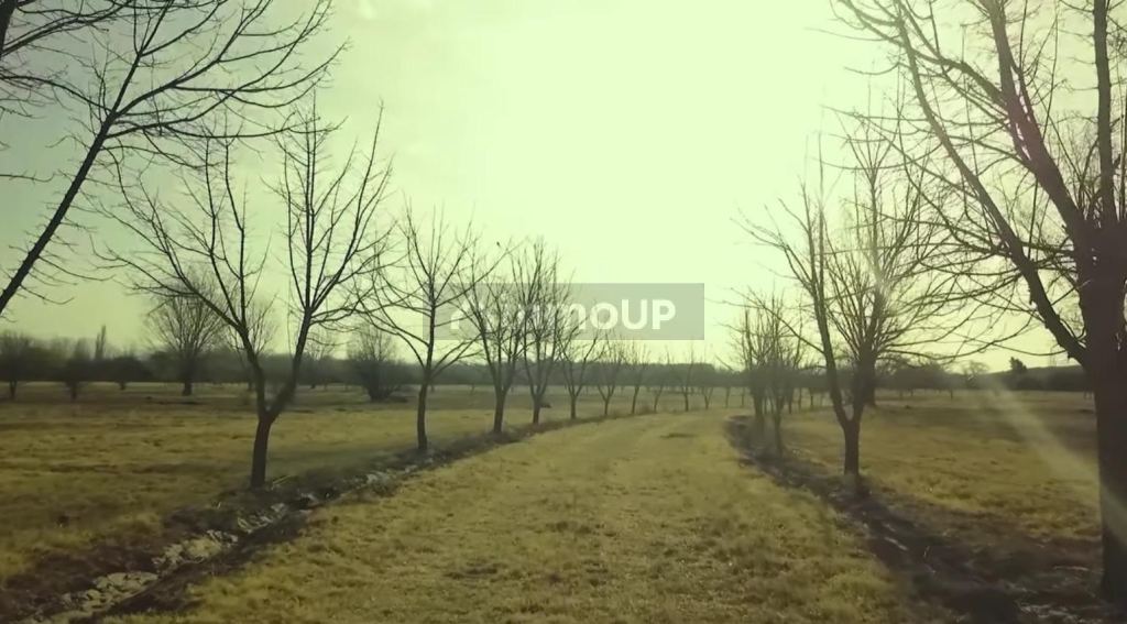 Casa en Venta en San Rafael, Mendoza