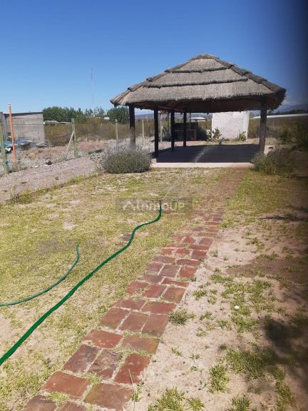 Terreno en Venta en Maipu, Mendoza