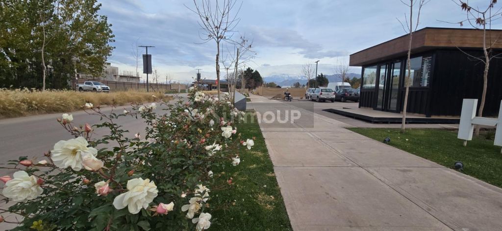 Lote en Venta en Lujan de Cuyo, Mendoza
