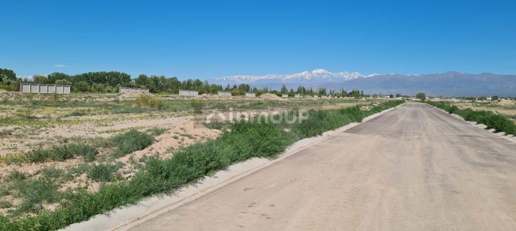 Lote en Venta en Lujan de Cuyo, Mendoza