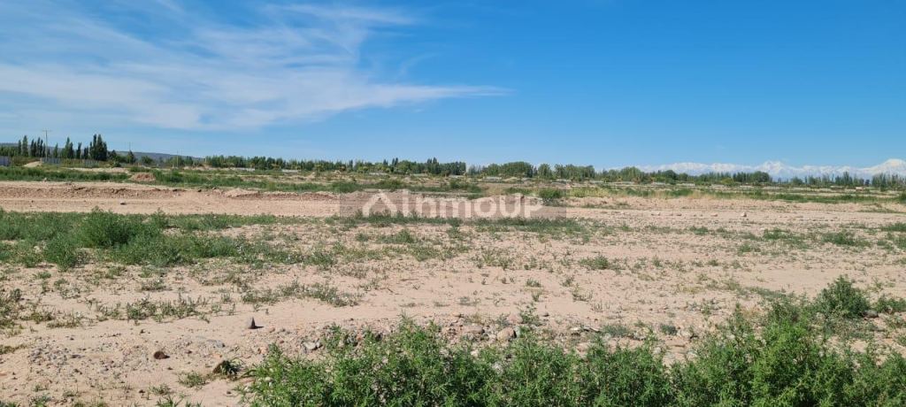 Lote en Venta en Lujan de Cuyo, Mendoza