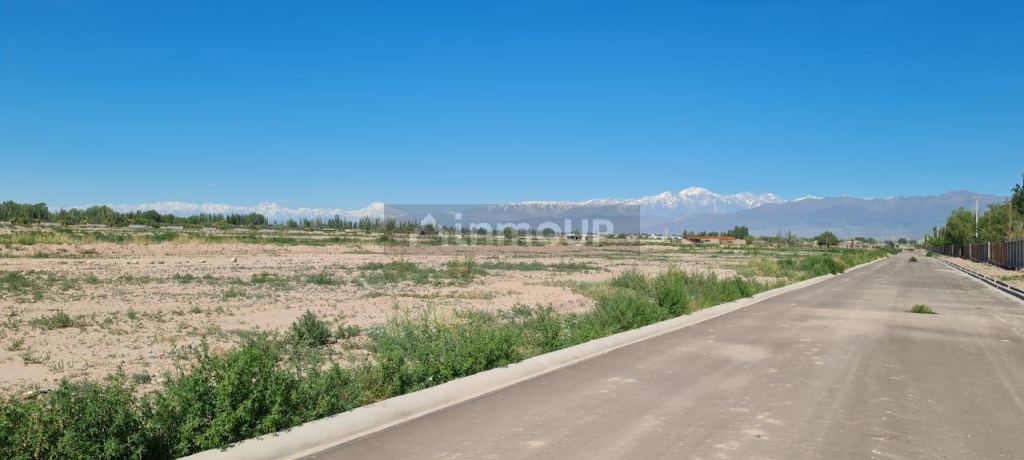 Lote en Venta en Lujan de Cuyo, Mendoza