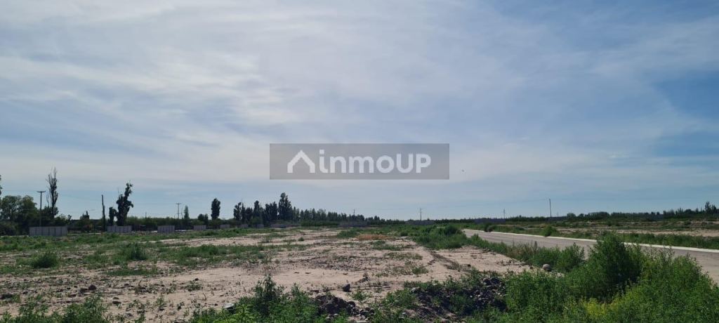 Lote en Venta en Lujan de Cuyo, Mendoza