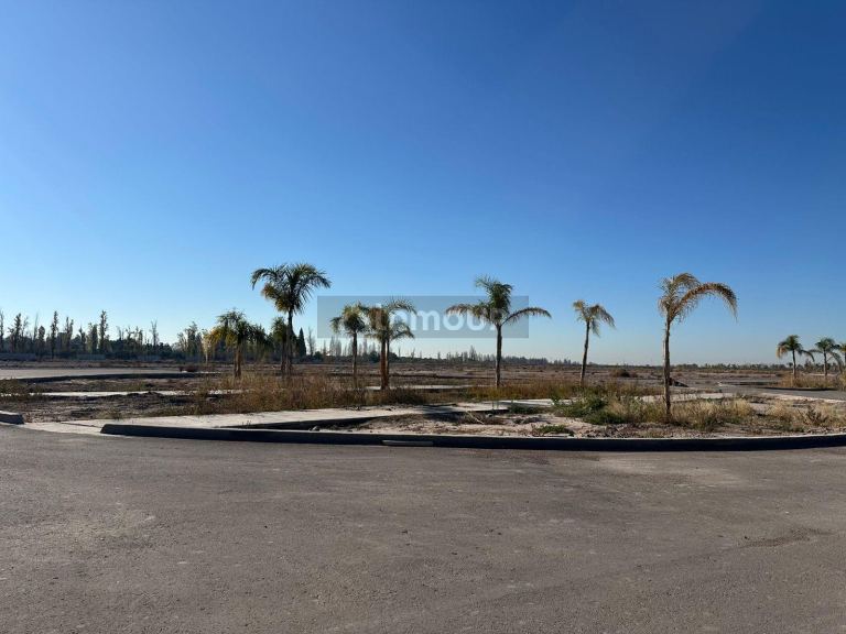 Lote en Venta en Lujan de Cuyo, Mendoza