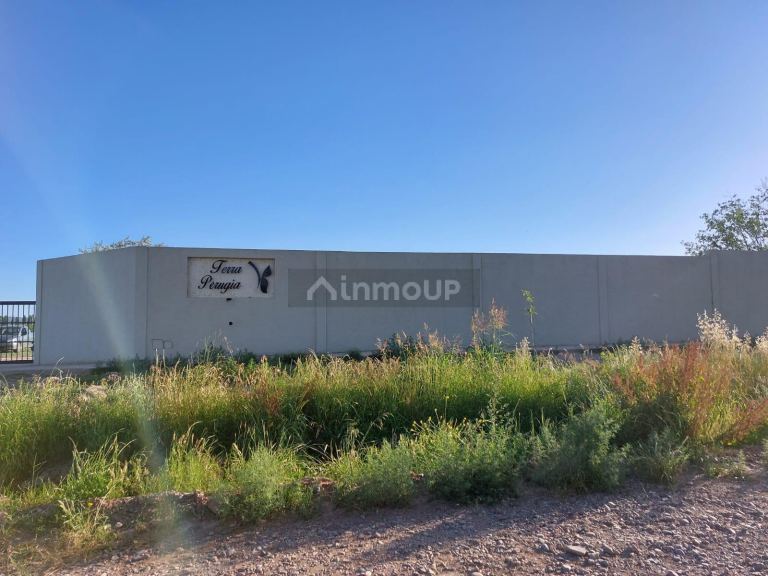 Lote en Venta en Lujan de Cuyo, Mendoza