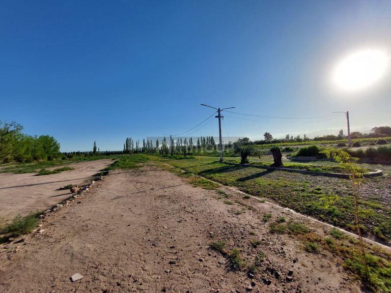 Lote en Venta en Lujan de Cuyo, Mendoza