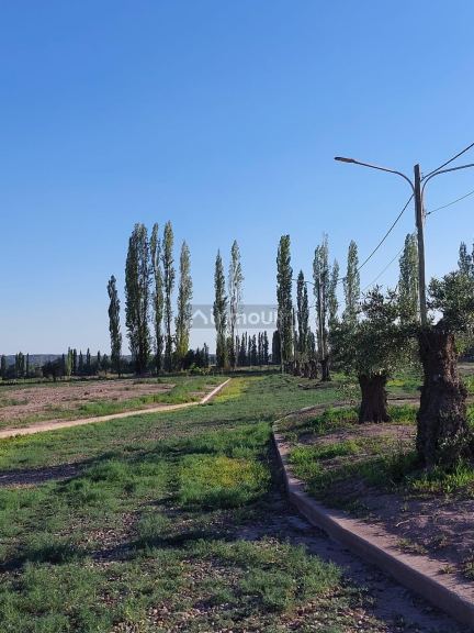 Lote en Venta en Lujan de Cuyo, Mendoza