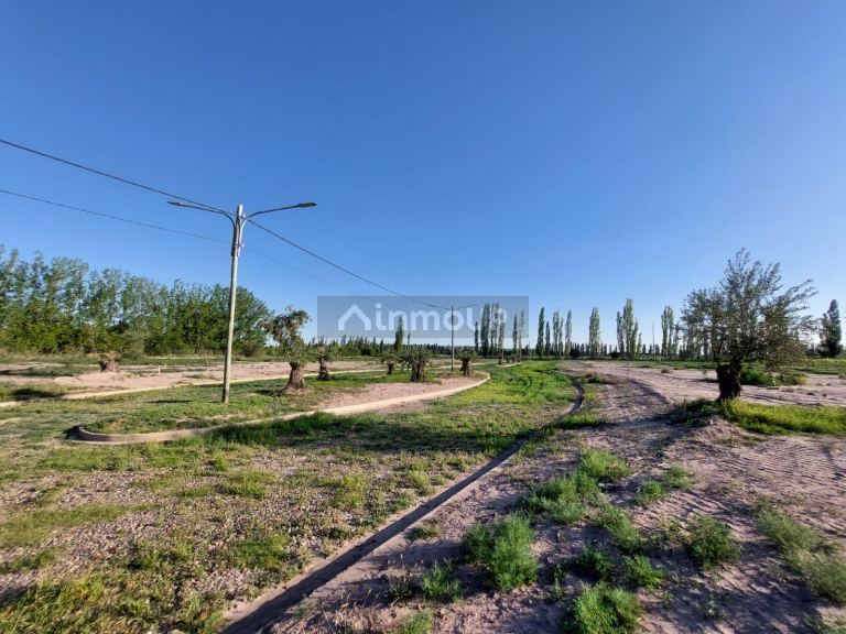 Lote en Venta en Lujan de Cuyo, Mendoza