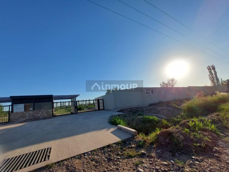 Lote en Venta en Lujan de Cuyo, Mendoza