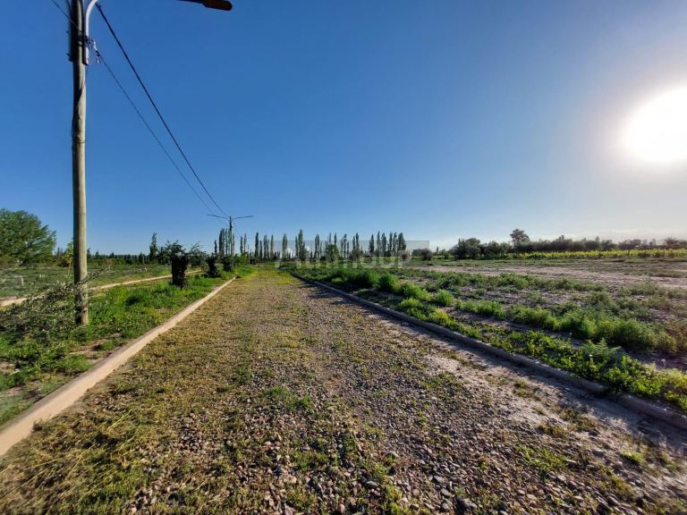 Lote en Venta en Lujan de Cuyo, Mendoza