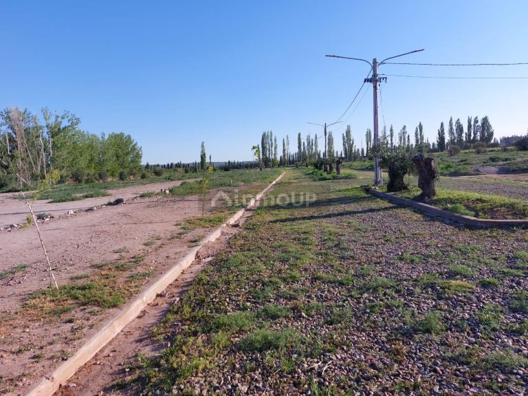 Lote en Venta en Lujan de Cuyo, Mendoza