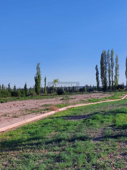 Lote en Venta en Lujan de Cuyo, Mendoza