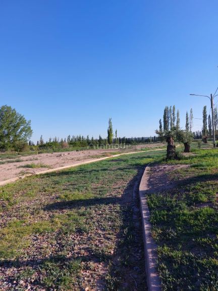 Lote en Venta en Lujan de Cuyo, Mendoza