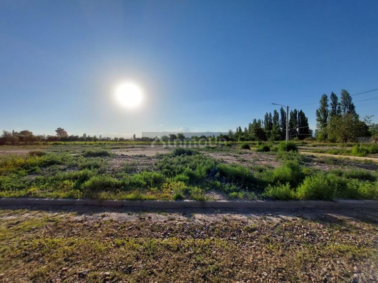 Lote en Venta en Lujan de Cuyo, Mendoza