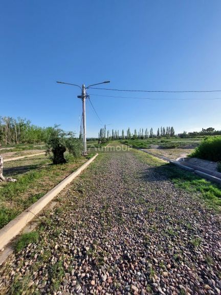 Lote en Venta en Lujan de Cuyo, Mendoza