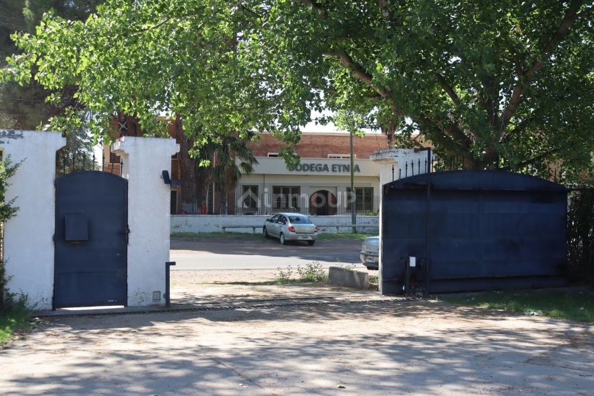 Casa en Alquiler en San Rafael, Mendoza