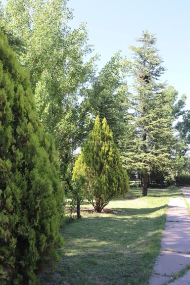 Casa en Alquiler en San Rafael, Mendoza