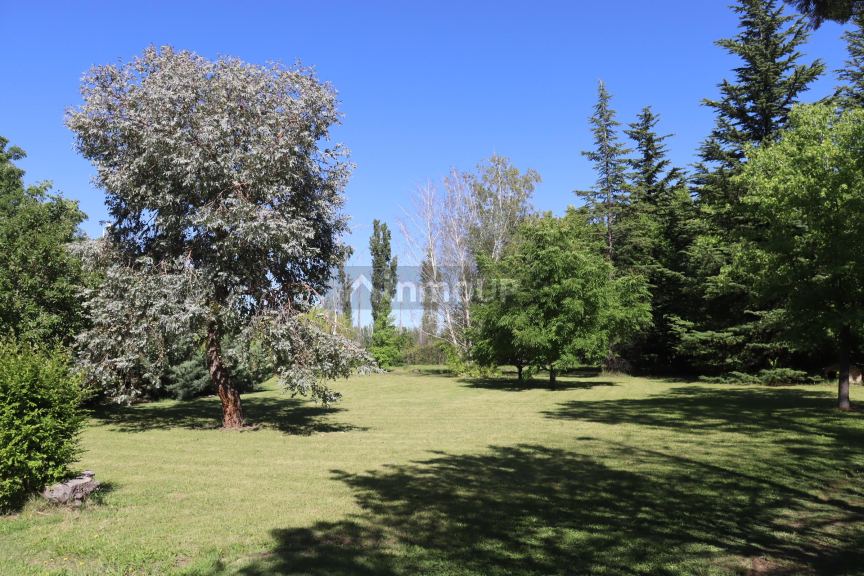 Casa en Alquiler en San Rafael, Mendoza
