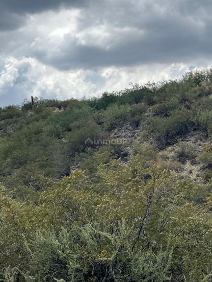 Terreno en Venta en Lujan de Cuyo, Mendoza