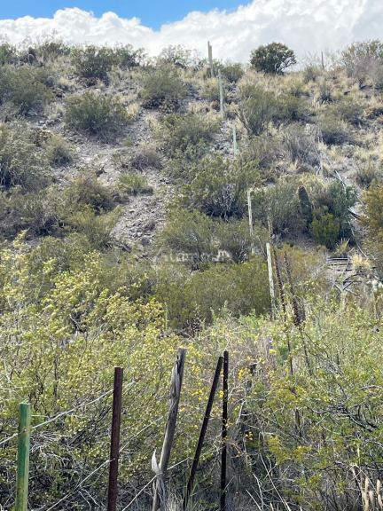 Terreno en Venta en Lujan de Cuyo, Mendoza