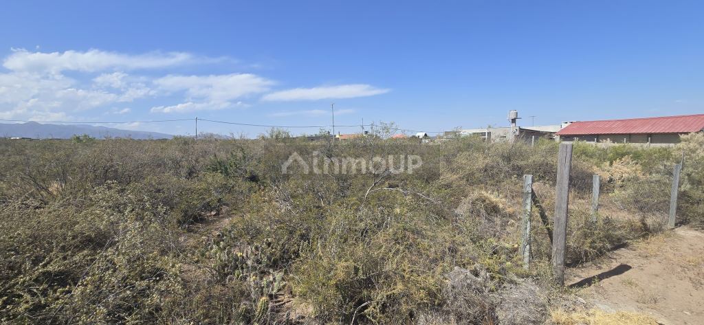 Lote en Venta en Lujan de Cuyo, Mendoza