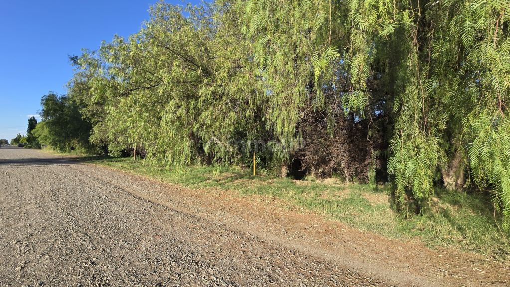 Lote en Venta en San Rafael, Mendoza