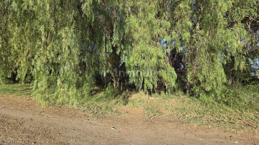 Lote en Venta en San Rafael, Mendoza