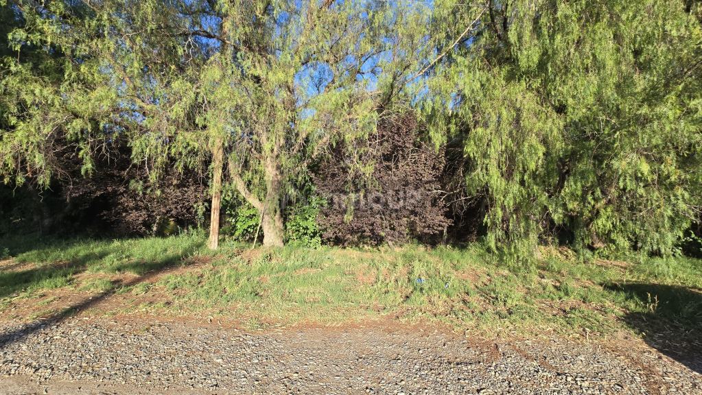 Lote en Venta en San Rafael, Mendoza