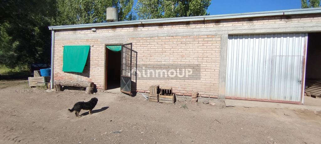 Finca en Venta en General alvear, Mendoza