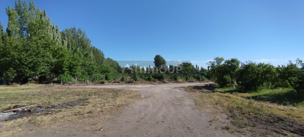 Finca en Venta en General alvear, Mendoza