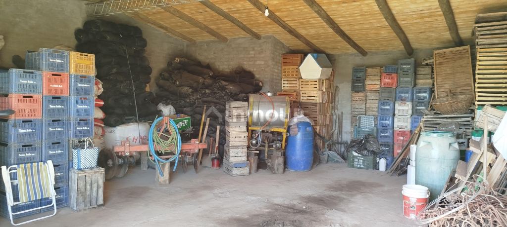 Finca en Venta en General alvear, Mendoza