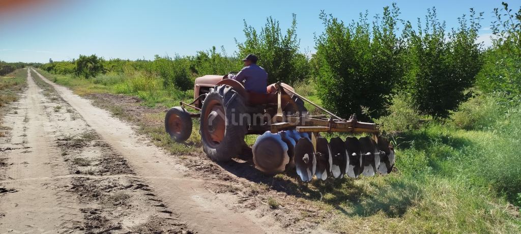Finca en Venta en General alvear, Mendoza