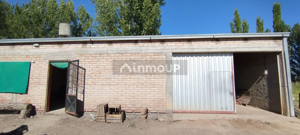 Finca en Venta en General alvear, Mendoza