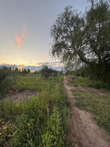 Finca en Venta en Maipu, Mendoza