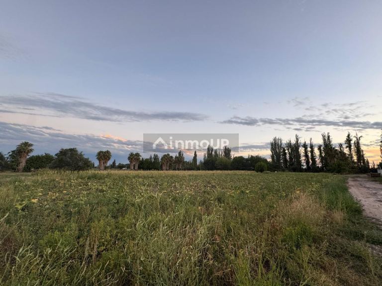 Finca en Venta en Maipu, Mendoza
