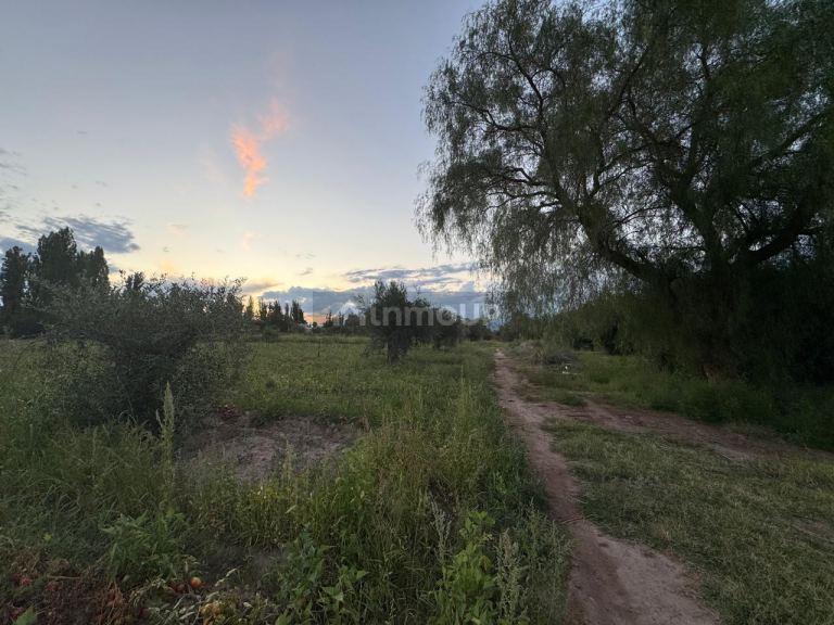 Finca en Venta en Maipu, Mendoza