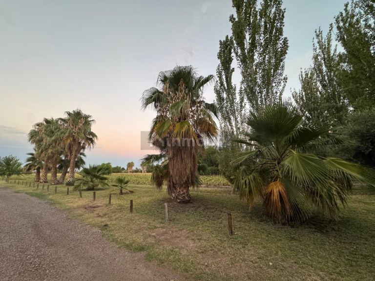 Finca en Venta en Maipu, Mendoza