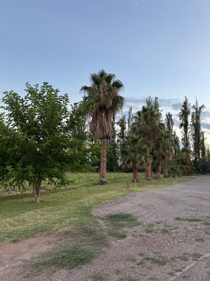 Finca en Venta en Maipu, Mendoza
