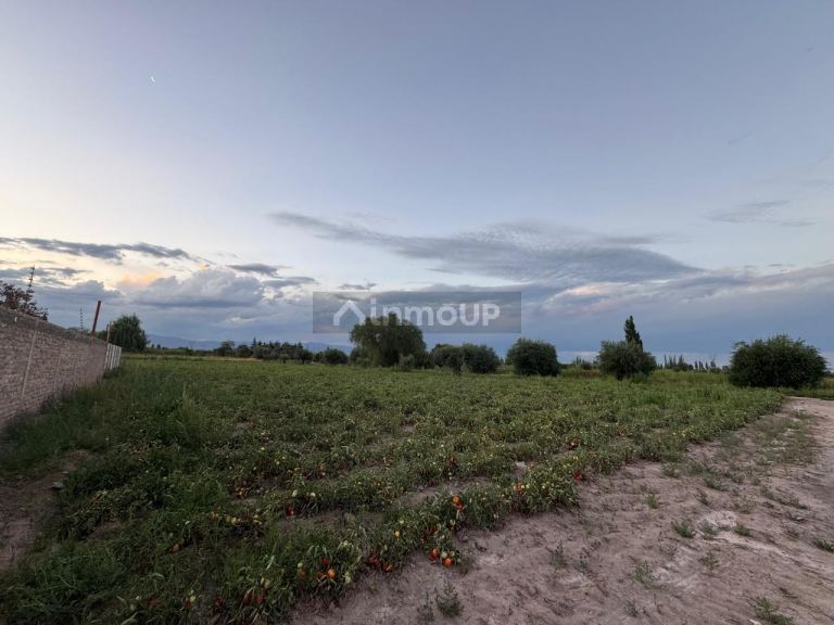 Finca en Venta en Maipu, Mendoza