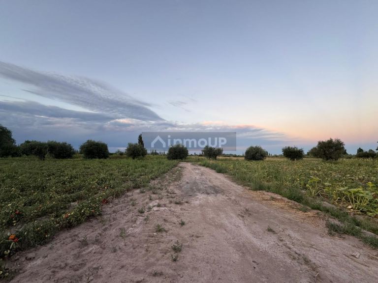 Finca en Venta en Maipu, Mendoza