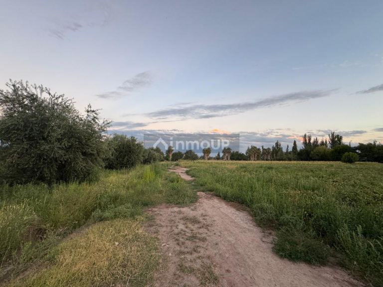 Finca en Venta en Maipu, Mendoza