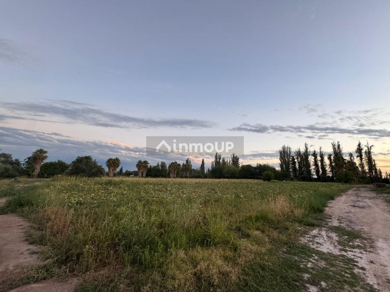 Finca en Venta en Maipu, Mendoza