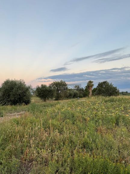 Finca en Venta en Maipu, Mendoza
