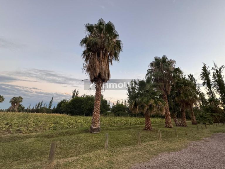 Finca en Venta en Maipu, Mendoza