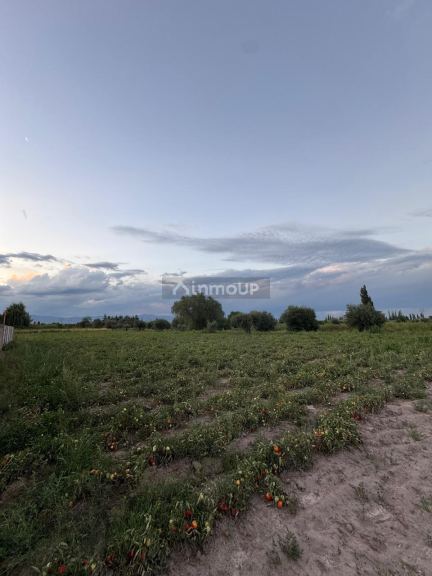 Finca en Venta en Maipu, Mendoza