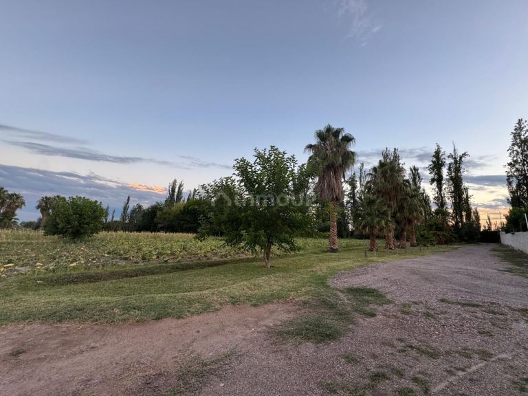 Finca en Venta en Maipu, Mendoza