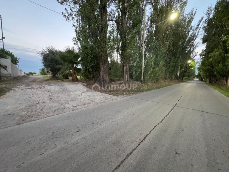 Finca en Venta en Maipu, Mendoza