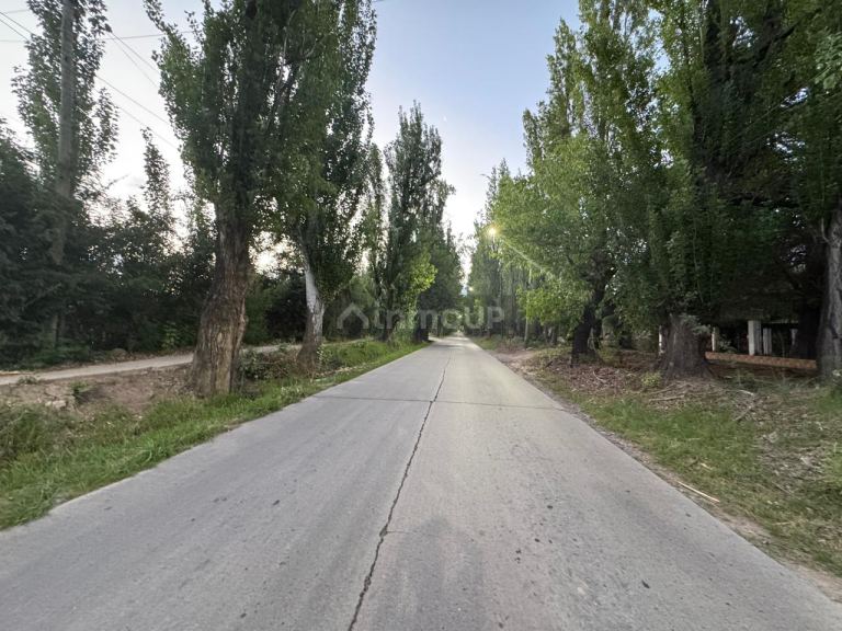 Finca en Venta en Maipu, Mendoza