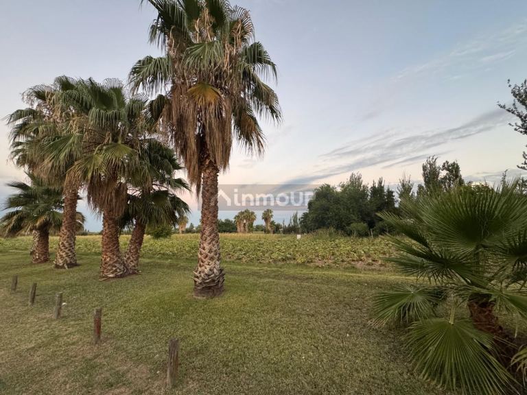 Finca en Venta en Maipu, Mendoza